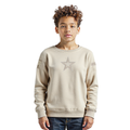 NFL DALLAS COWBOYS NEUTRAL LITTLE BOY'S FLEECE CREWNECK (TAUPE)