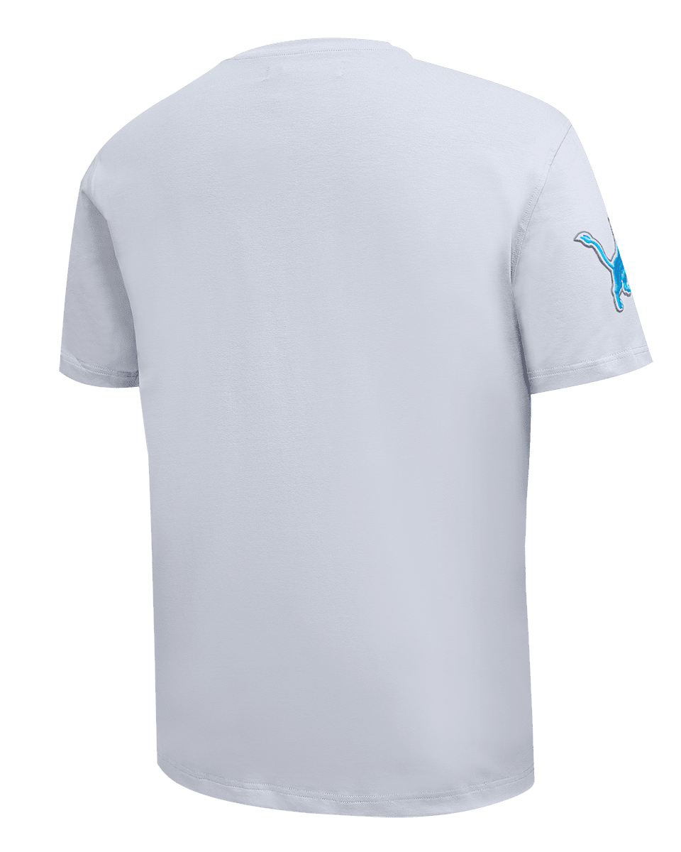 NFL DETROIT LIONS PRO TEAM MEN'S TEE (GRAY)