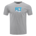 NFL DETROIT LIONS TEAM PENNANTS MEN'S   TEE (HEATHER GREY)