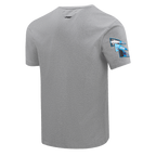 NFL DETROIT LIONS TEAM PENNANTS MEN'S   TEE (HEATHER GREY)