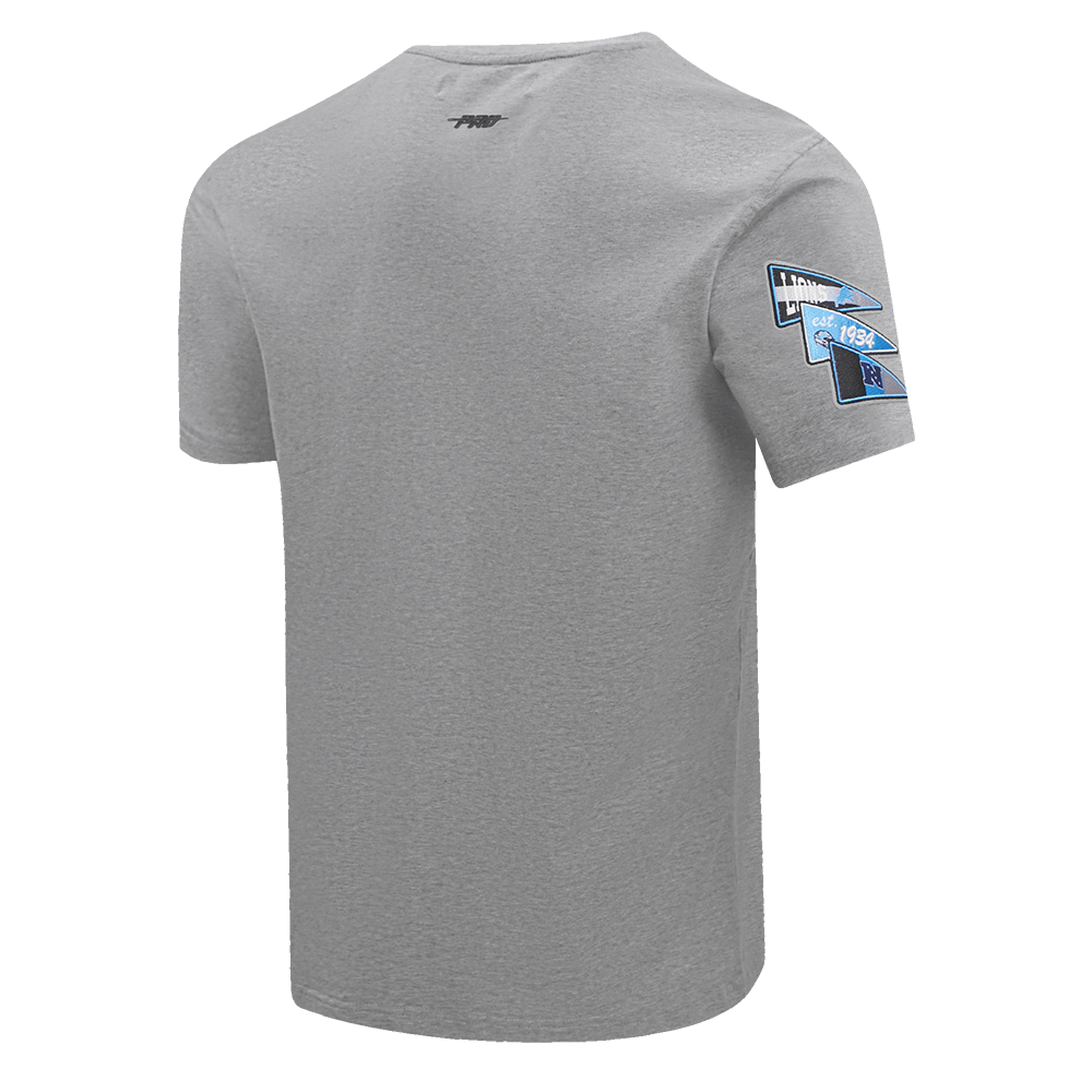 NFL DETROIT LIONS TEAM PENNANTS MEN'S   TEE (HEATHER GREY)