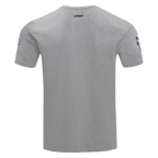 NFL DETROIT LIONS TEAM PENNANTS MEN'S   TEE (HEATHER GREY)