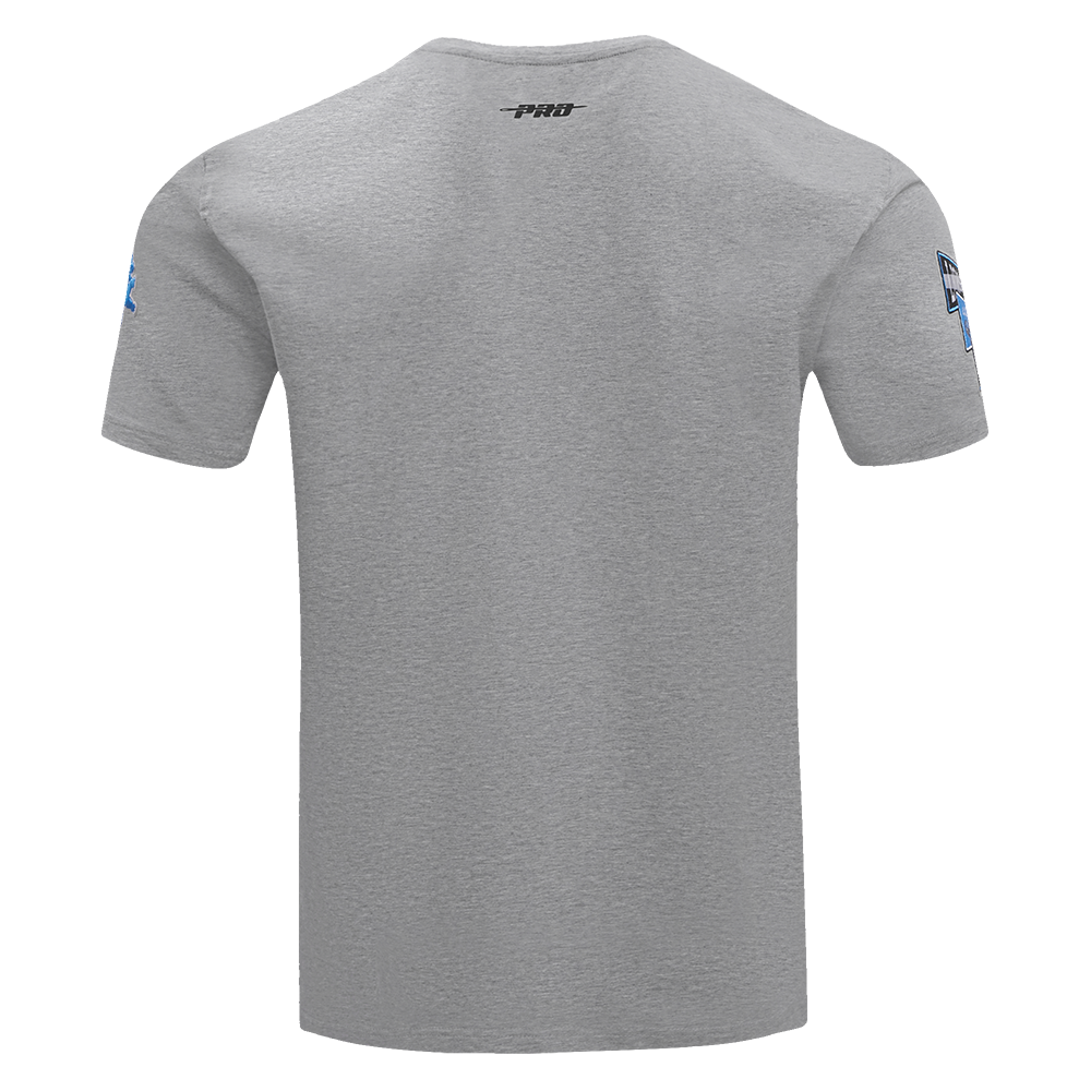 NFL DETROIT LIONS TEAM PENNANTS MEN'S   TEE (HEATHER GREY)