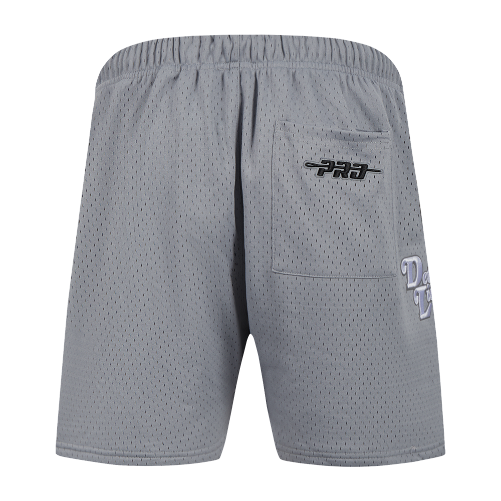 NFL DETROIT LIONS SOUVENIR MEN'S MESH SHORT (GRAY)