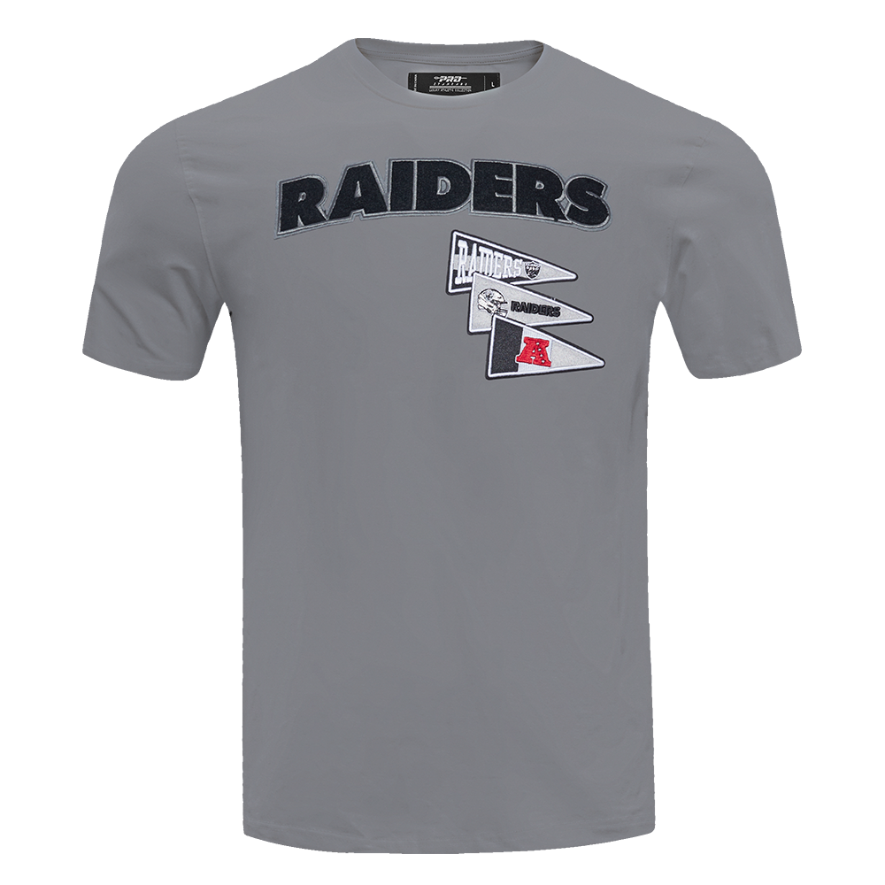 NFL LAS VEGAS RAIDERS TEAM PENNANTS T-SHIRT À LOGOTYPE POUR HOMME (GRIS)