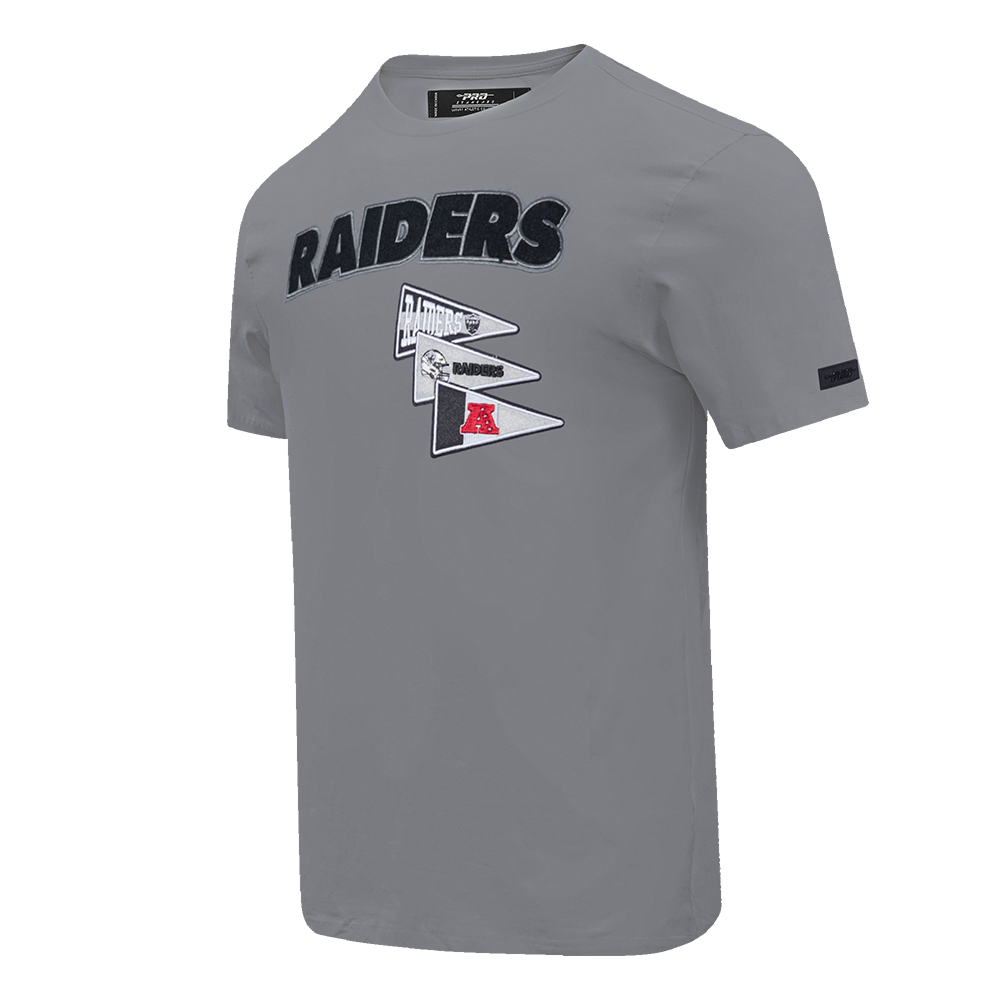 NFL LAS VEGAS RAIDERS TEAM PENNANTS MEN'S WORDMARK   TEE (GRAY)