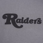 NFL LAS VEGAS RAIDERS SOUVENIR CHANDAIL À CAPUCHON EN MOLLETON POUR HOMME (GRIS)