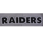 NFL LAS VEGAS RAIDERS SOUVENIR CHANDAIL À CAPUCHON EN MOLLETON POUR HOMME (GRIS)