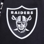 NFL LAS VEGAS RAIDERS CITY ARCH MEN'S FLC 1/4 ZIP (BLACK)