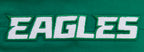 NFL PHILADELPHIA EAGLES CLASSIC CHENILLE PANTALON JOGGER EN MAILLE DOUBLE POUR HOMME (VERT KELLY)