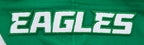 NFL PHILADELPHIA EAGLES CLASSIC CHENILLE MEN'S DK PO HOODIE (KELLY GREEN)
