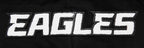 NFL PHILADELPHIA EAGLES CLASSIC CHENILLE CHANDAIL À CAPUCHON EN MAILLE DOUBLE À GLISSIÈRE POUR HOMME (NOIR)