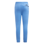 NFL PITTSBURGH STEELERS CLASSIC CHENILLE DOUBLE KNIT JOGGER (UNIVERSITY BLUE)