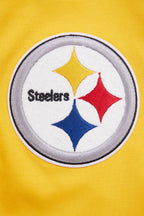 NFL PITTSBURGH STEELERS CLASSIC CHENILLE MEN'S DOUBLE KNIT PULLOVER HOODIE (YELLOW)