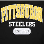 NFL PITTSBURGH STEELERS CITY ARCH CHANDAIL À CAPUCHON EN MOLLETON POUR HOMME (NOIR)