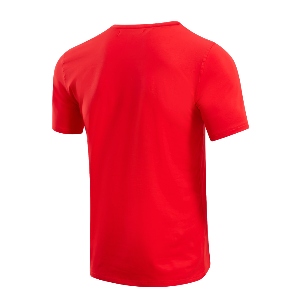 NFL SAN FRANCISCO 49ERS CLASSIC BRISTLE MEN'S TEE (RED)