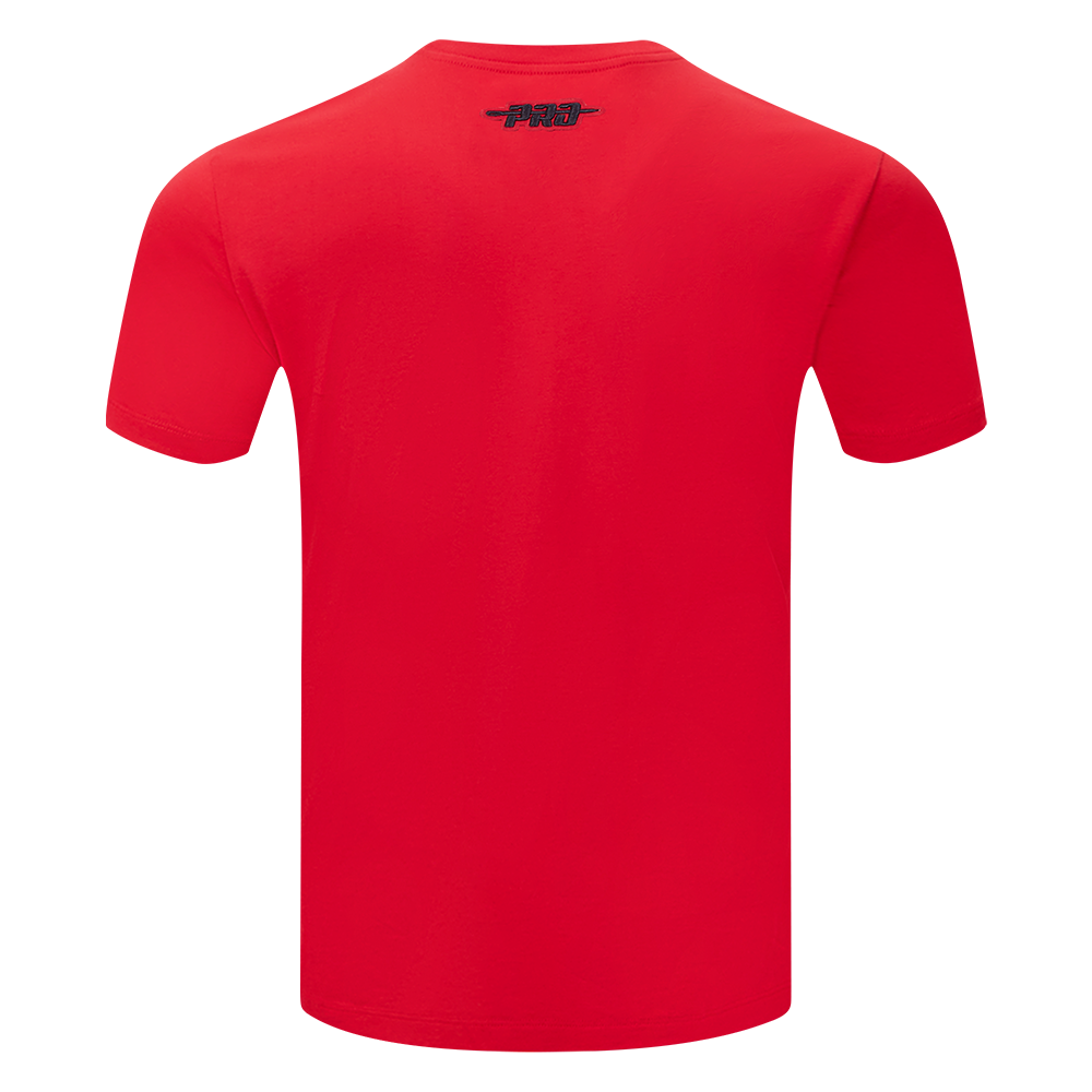 NFL SAN FRANCISCO 49ERS SOUVENIR MEN'S SINGLE JERSEY TEE (RED)