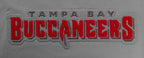 NFL TAMPA BAY BUCCANEERS CLASSIC CHENILLE MEN'S   TEE (GRAY)