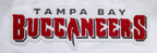 NFL TAMPA BAY BUCCANEERS CLASSIC CHENILLE DOUBLE KNIT PULLOVER HOODIE (WHITE)