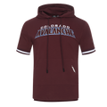 NHL COLORADO AVALANCHE CLASSIC CHENILLE MEN'S DK SS PO HOODIE (WINE)