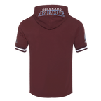 NHL COLORADO AVALANCHE CLASSIC CHENILLE MEN'S DK SS PO HOODIE (WINE)