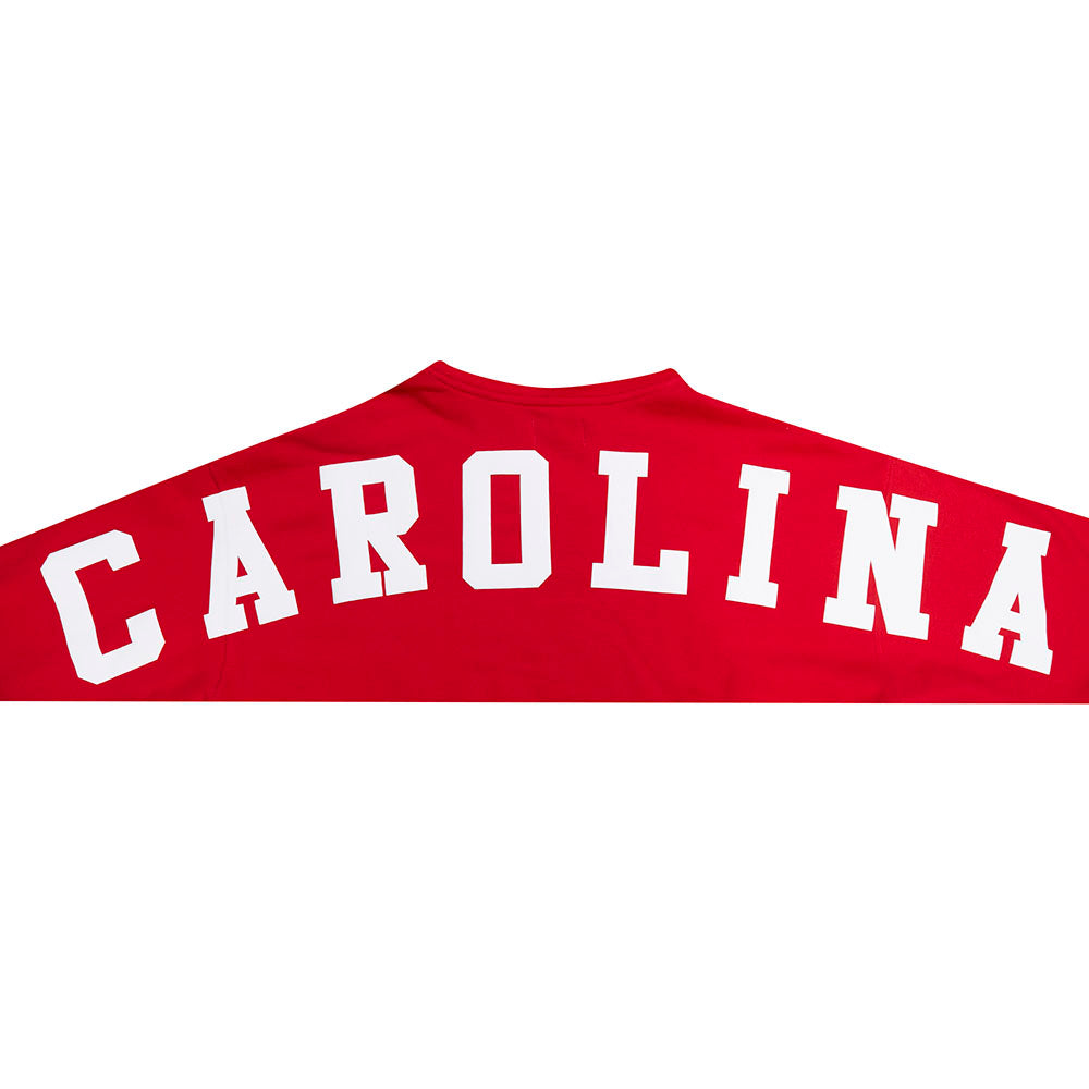 NHL CAROLINA HURRICANES WINGSPAN CHANDAIL À CAPUCHON POUR HOMME (ROUGE)