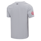 NHL DETROIT RED WINGS SCRIPT TAIL MEN'S SJ TEE (HEATHER GREY)