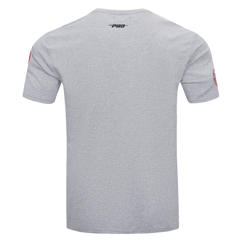 NHL DETROIT RED WINGS SCRIPT TAIL MEN'S SJ TEE (HEATHER GREY)