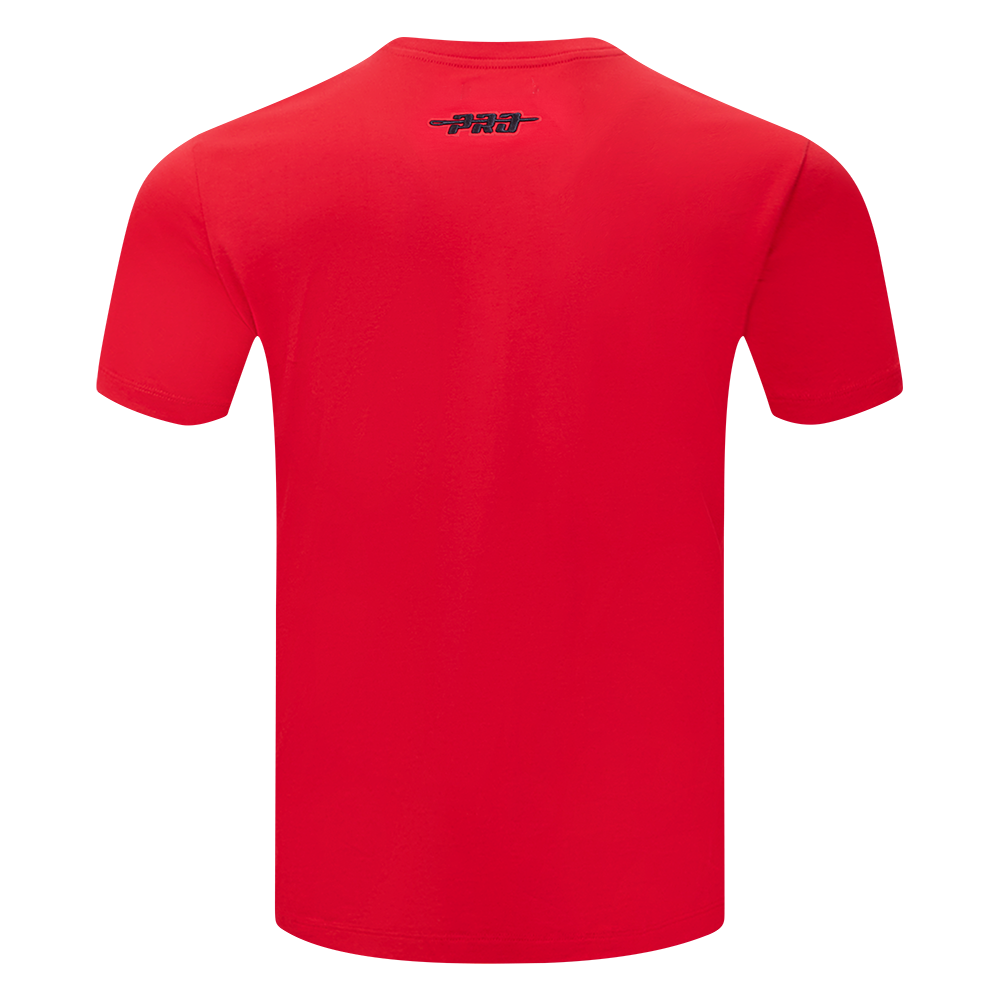 NHL DETROIT RED WINGS SOUVENIR MEN'S SJ TEE (RED)