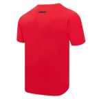 NHL DETROIT RED WINGS SOUVENIR MEN'S SJ TEE (RED)