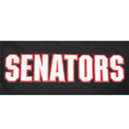 NHL OTTAWA SENATORS CLASSIC CHENILLE MEN'S DK TEE (BLACK/RED)
