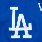 MLB LOS ANGELES DODGERS CLASSIC CHENILLE MEN'S SS PO HOODIE (DODGER BLUE)