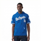 MLB LOS ANGELES DODGERS CLASSIC CHENILLE MEN'S SS PO HOODIE (DODGER BLUE)