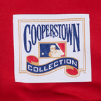 MLB MONTREAL EXPOS RETRO CLASSICS MEN'S PULLOVER HOODIE (RED)