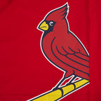 MLB ST. LOUIS CARDINALS LIVING LARGE HAUT EN JERSEY DE COTON À ÉPAULES TOMBANTES POUR HOMME (ROUGE)