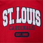 MLB ST. LOUIS CARDINALS CITY ARCH CHANDAIL À CAPUCHON EN MOLLETON POUR HOMME (ROUGE)