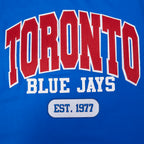 MLB TORONTO BLUE JAYS CITY ARCH MEN'S SJ TOP (ROYAL BLUE)