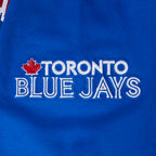 MLB TORONTO BLUE JAYS CITY ARCH MEN'S FLC PO HOODIE (ROYAL BLUE)